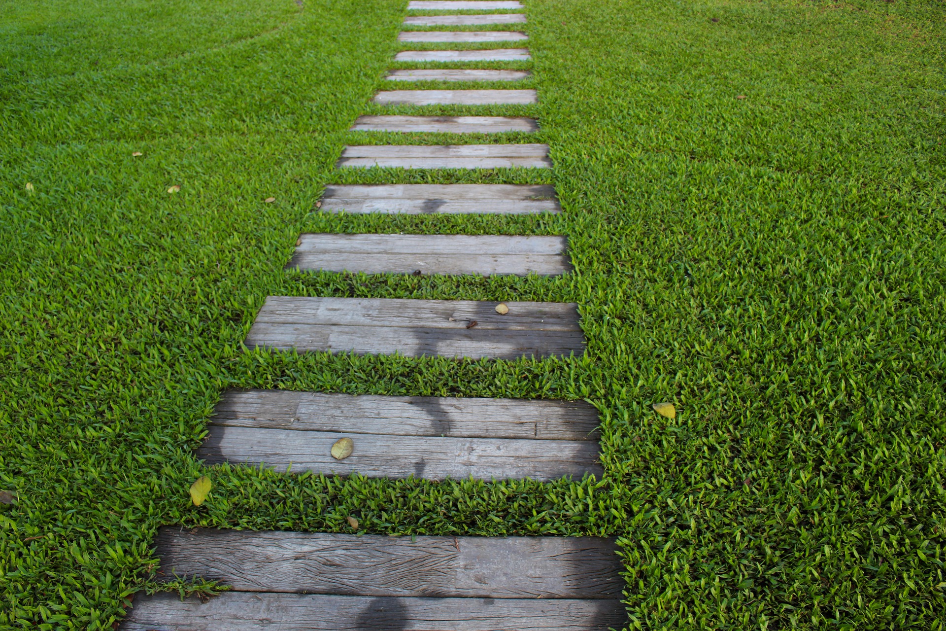 garden-path-1979619_1920